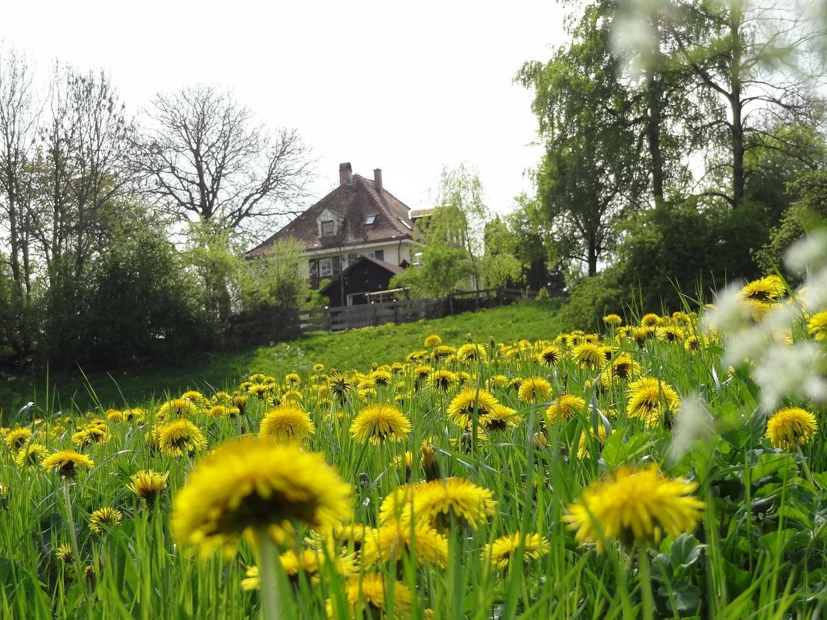 Landhaus Loewenzahn Unteregg ภายนอก รูปภาพ
